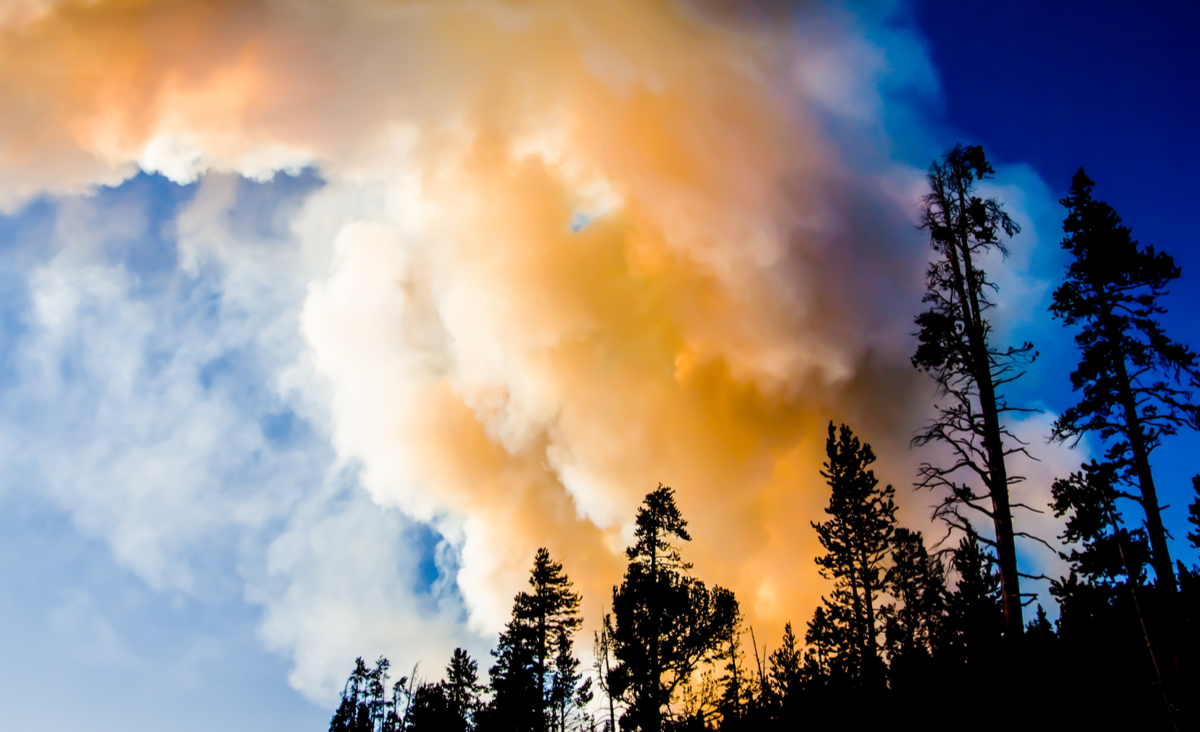 Bright blue sky partially obstructed by orange and yellow-coloured smoke rising from a silhouette of trees in the bottom right corner.