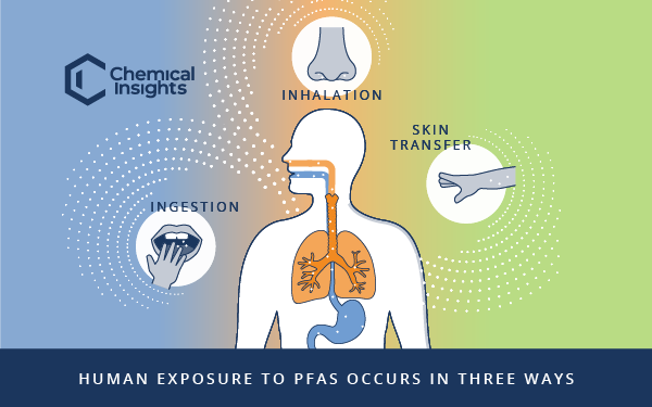 PFAS Exposure happens in three ways: Ingestion, Inhalation, and Skin Transfer