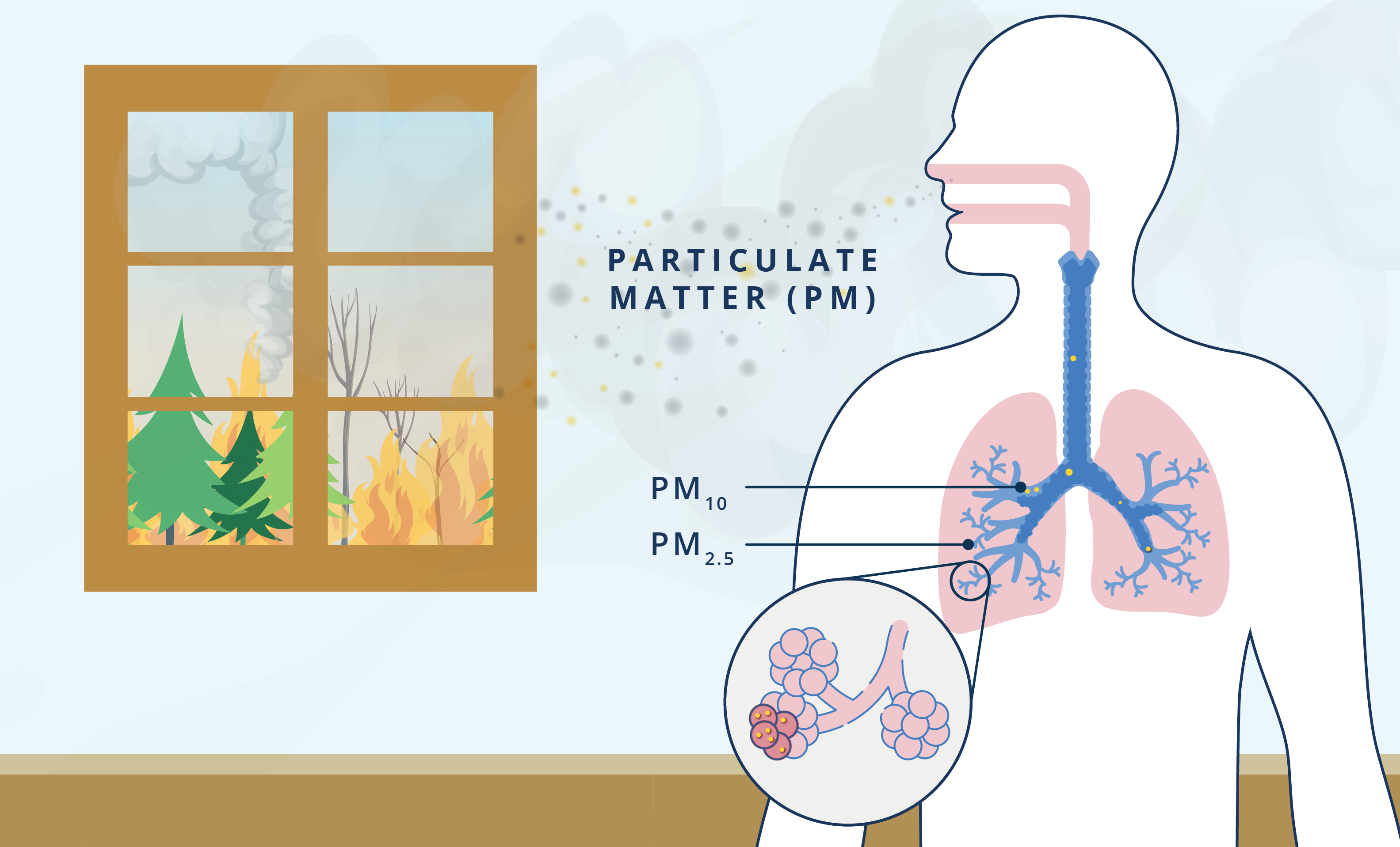 Inhalation of particulate matter from wildfire smoke.