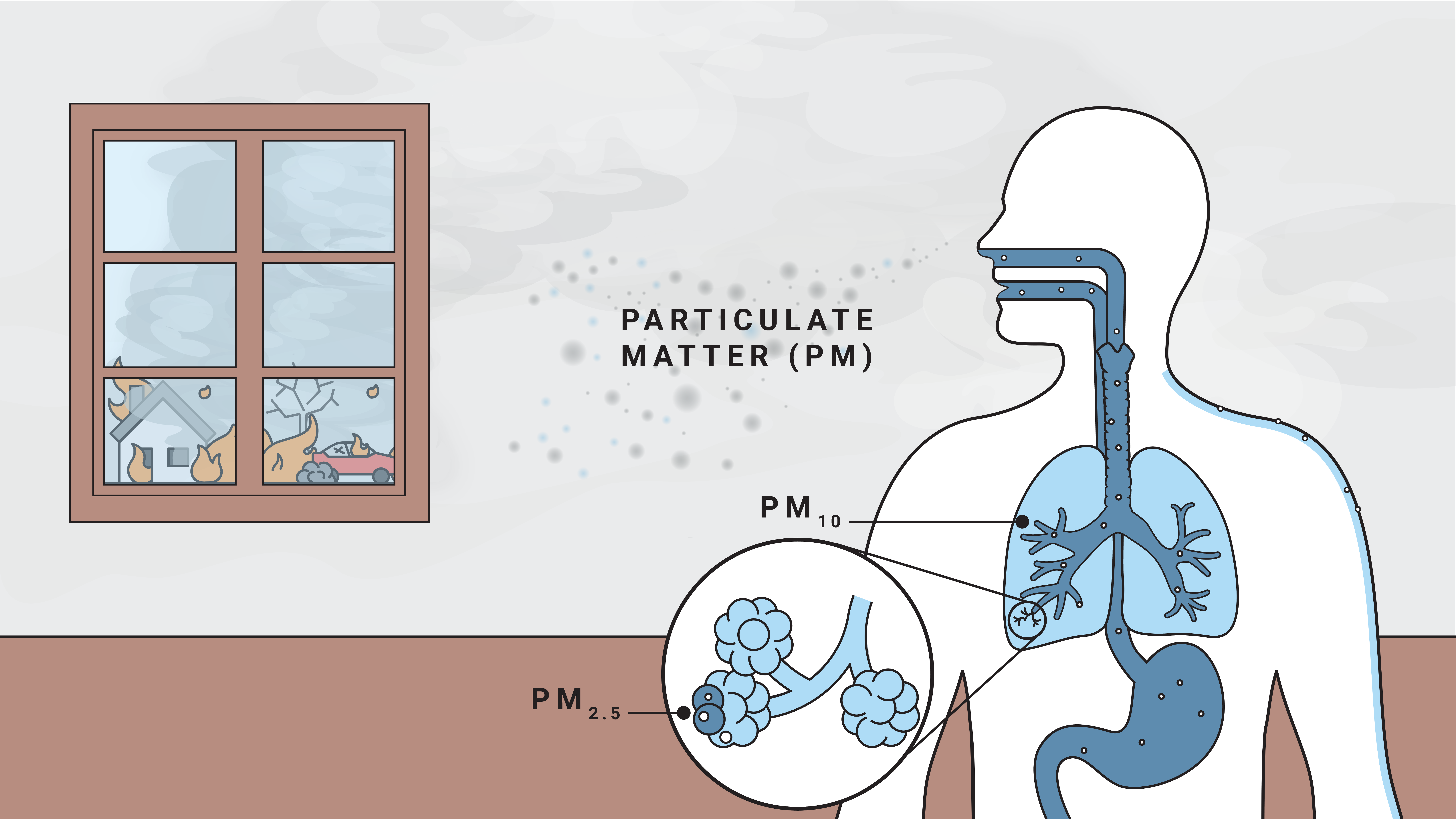 Inhalation of particulate matter from wildfire smoke.